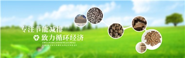 倪維斗院士：通過技術(shù)創(chuàng)新，大力發(fā)展超級(jí)能源生物質(zhì)燃料